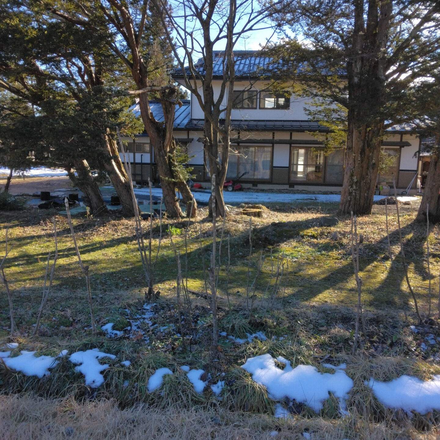 長野県の美しい自然が広がる安曇野にある松川村は、犬と一緒にリ
