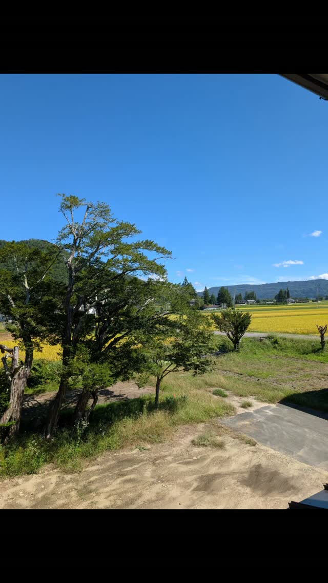 今日は久しぶりのいいお天気☀️
